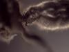 364753 – Photo : Daniel INGREMEAU – France (36)